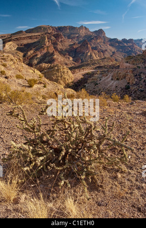 Horse Mesa in Superstition Mountains with cholla cactus at Fish Creek Hill viewpoint on Apache Trail, Arizona, USA Stock Photo