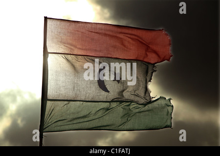 The new rebel flag of Libya Stock Photo - Alamy