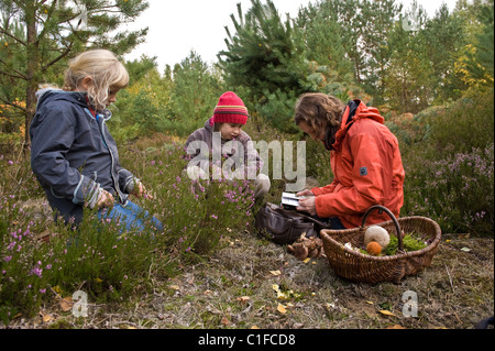 Mushroom pickers in Schoenower Heide, Bernau, Germany Stock Photo