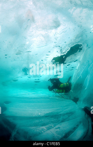 Scuba diver with sidemount under ice, in lake Baikal, Siberia, Russia, island Olkhon Stock Photo