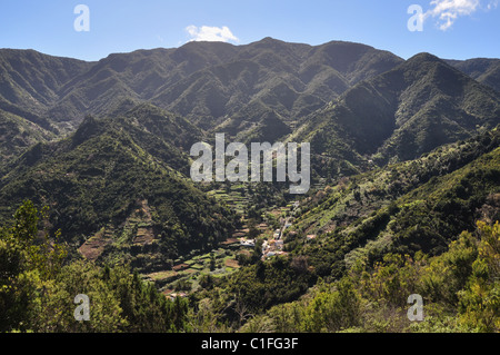Garabato , Montana de la Asomada,  Vallehermoso, La Gomera, Canary Islands, Spain Stock Photo