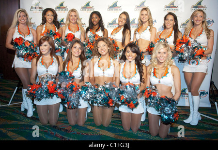 The Miami Dolphin's Cheerleaders The Miami Dolphins football team owner and general managing partner Stephen M Ross and Stock Photo