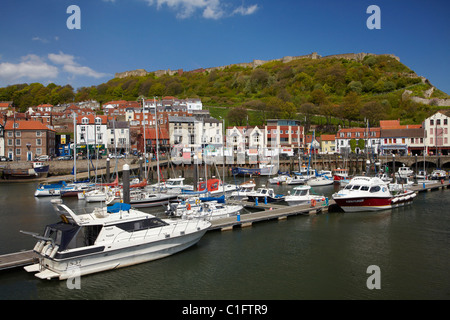 Marina, waterfront, and castle walls, Scarborough, North Yorkshire, England, United Kingdom Stock Photo