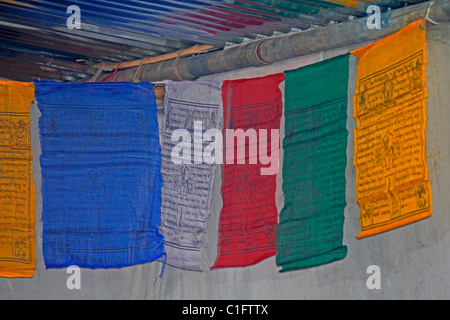 Buddhist prayer flags, Tibetan at Namdapha Eco Cultural Festival, Miao, Arunachal Pradesh, India Stock Photo