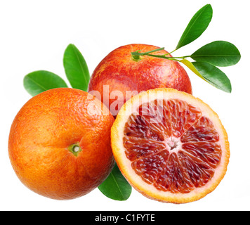 Blood red oranges isolated on white background Stock Photo