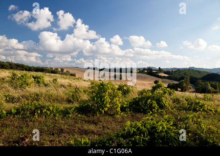 Hills of Tuscany near Florence, Italy Stock Photo