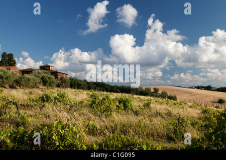 Chianti Hills near Florence during the month of June. Tuscany, Italy Stock Photo