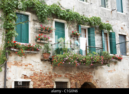 Typical Venetian view of a row of windows with green wooden shutters and pretty planting with a balcony Stock Photo