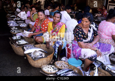 India, Goa state, Panaji, the fish market Stock Photo