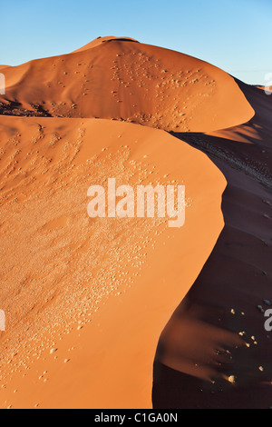 Aerial view of red sand dunes at Sossusvlei. Namib desert. Namib-Naukluft N.P, Namibia Stock Photo