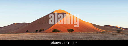 View of the sand dunes at Sossusvlei in the Namib desert. Namib Stock Photo