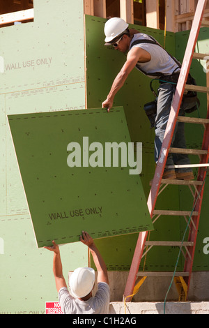 Hispanic carpenters pulling exterior sheathing up ladder at a house under construction Stock Photo