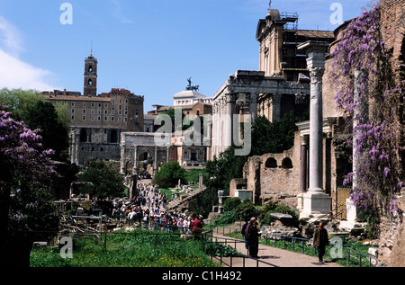 Italy, Lazio, Rome, the roman Forum Stock Photo