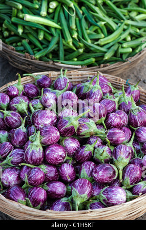 Indian vegetables. Eggplant / Aubergine or Brinjal in a basket at an Indian market. Andhra pradesh, India Stock Photo