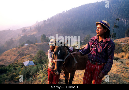 Guatemala, Cuchumatanes Cordillera, Huehuetenango Department, farmers and their horse Stock Photo
