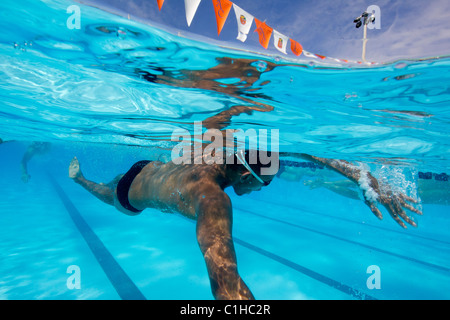 Male competitor in the collegiate Orange Bowl Swimming Classic doing a front or forward crawl in competition. Stock Photo