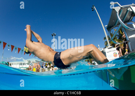 College swimmers at the start of a backstroke event, Orange Bowl Swimming Classic Stock Photo