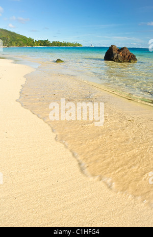 tropical beach in french polynesia Stock Photo