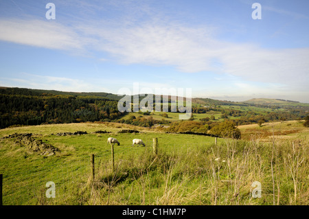 The Goyt Valley - Peak District Stock Photo