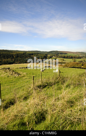 The Goyt Valley - Peak District Stock Photo