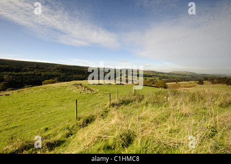 The Goyt Valley - Peak District Stock Photo