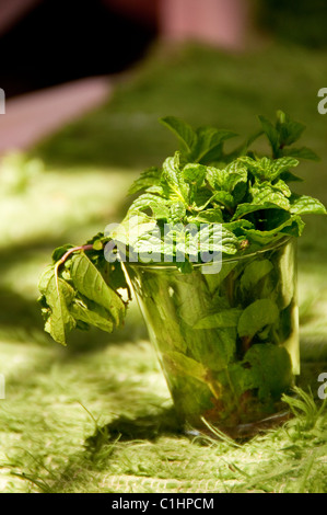 drinking mint tea in Luxor, Egypt Stock Photo