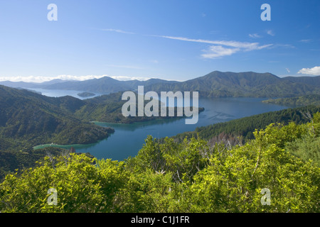 Marlborough Sounds, New Zealand Stock Photo