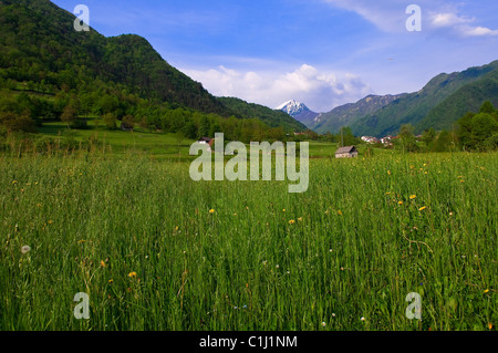 Soca Valley, Slovenia Stock Photo