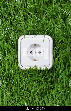 Electrical Outlet in Grass, Hamburg, Germany Stock Photo