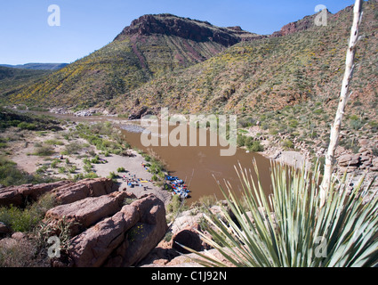 A group of friends, having comleted a days run on the Salt River, are setting up camp on a beach. The Salt River is in Arizona U Stock Photo