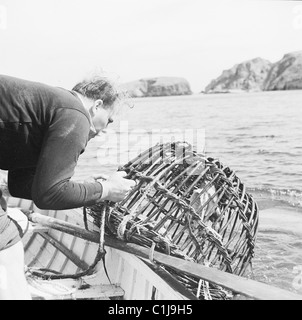 1950s, historical, at the cost, out in the sea, a fisherman pulls a wicker lobster pot from the water onto the deck of a boat. Stock Photo