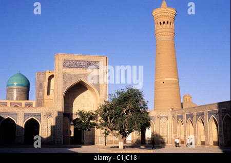 Uzbekistan, Bukhara, the mosque Kalon and the minaret Kalon Stock Photo