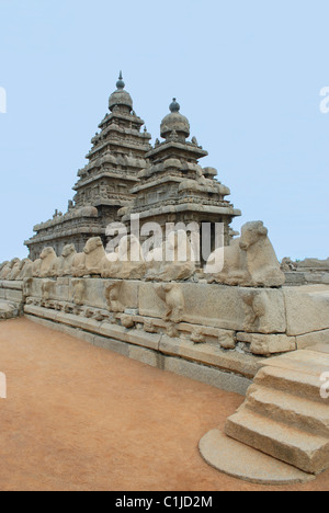 The Shore Temple (built in 700-728 CE), Mahabalipuram, Tamil Nadu, India Stock Photo