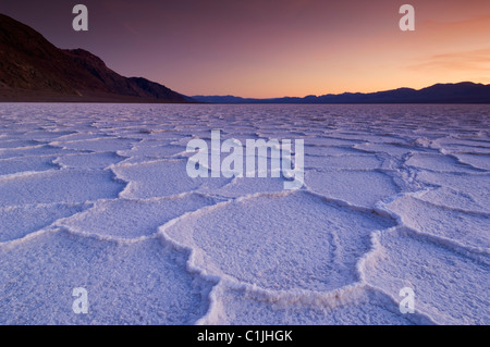 Death Valley National Park USA Badwater basin Death Valley Salt pan polygons at sunset Badwater Basin Death Valley National Park, California, USA Stock Photo