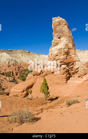 Large column of sedimentary rock Kodachrome basin State Park Grand Staircase-Escalante National Monument Kane County Utah USA Stock Photo