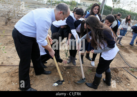 Israel, Southern District, Netivot (founded 1956) The local residants plant trees in the city Stock Photo