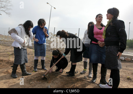 Israel, Southern District, Netivot (founded 1956) The local residants plant trees in the city Stock Photo