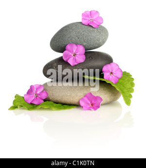 Black spa stones with flowers and petals isolated on white close-up ...