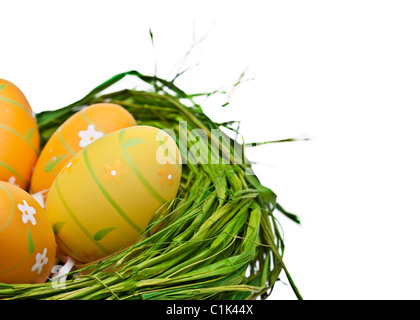 Nest full of eggs. Isolated on a white background. Stock Photo