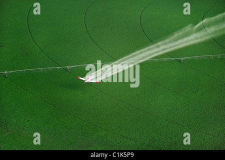 Aerial View of a crop duster spraying a farm field Stock Photo