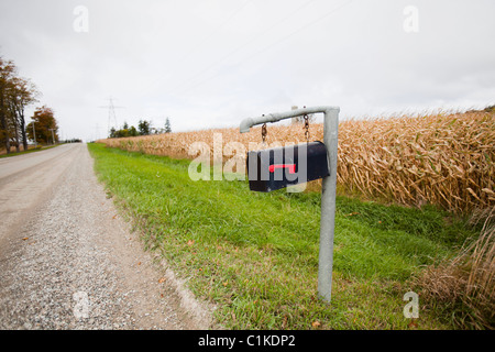 Mailbox on Rural Road, Ontario, Canada Stock Photo