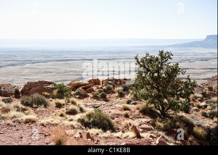 View of Desert From Highway 89, Navajo Indian Reservation, Navajo County, Arizona, USA Stock Photo