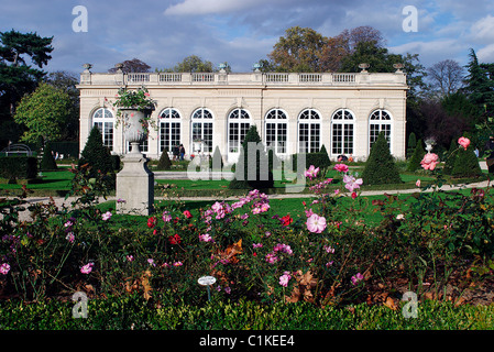 France, Paris, castle (1777) of the Park of Bagatelle and the rose garden Stock Photo