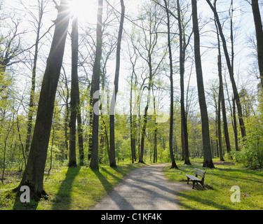 Park, Aschaffenburg, Franconia, Bavaria, Germany Stock Photo