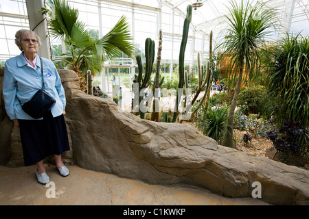 Mature woman standing in the dry zone inside The Glasshouse at RHS headquarters / HQ at Wisley. Surrey. UK. Stock Photo