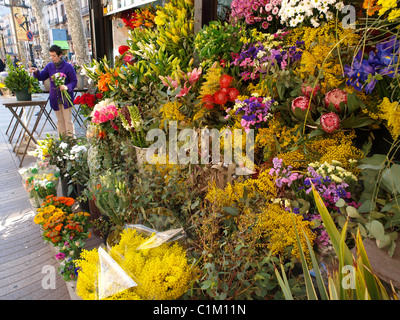 Flower stall on the Ramblas Barcelona Stock Photo