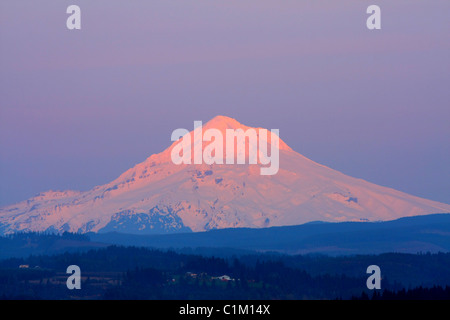 40,243.06818 Mt Hood (11,240’), sunset alpenglow and blue haze as seen from 60 miles west.  Scenic, snow, spring. Stock Photo