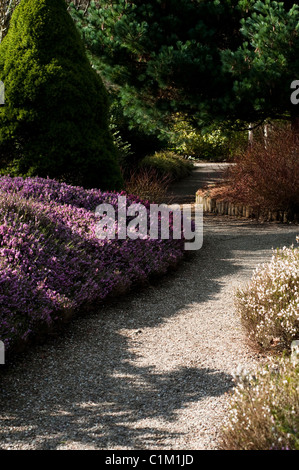 The Winter Garden at RHS Rosemoor in February, Devon, England, United Kingdom Stock Photo