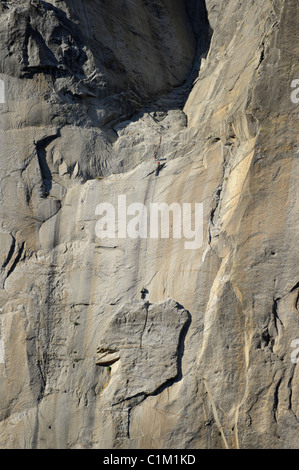 View of climbers hauling up climbing gear on El Capitan from Northside Drive, Yosemite National Park, California, USA Stock Photo