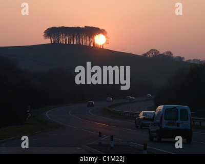 Sun setting behind trees, Devon, UK Stock Photo